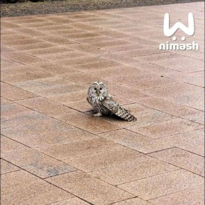 ������� �� ��������� ������ ������ ����� ������