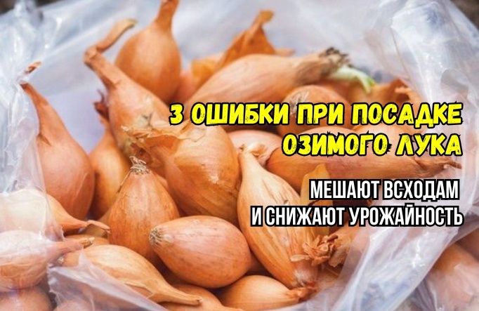 ������ ��� ������� ������� ����: ��� �������� ��� � �������