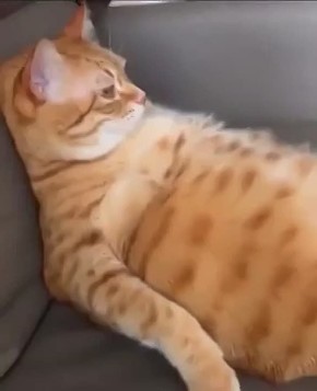 Дождались.... Прекрасный пятничный вечер! Отдыхайте, вы это заслужили