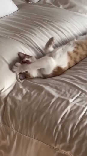 �� ����� ���������, ����� ������ �� ����� �������