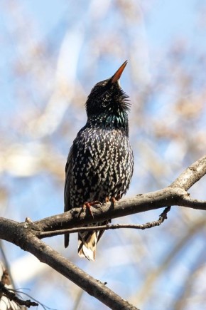 ������ ��������� ����! ����� ���� ���� ������� ��� ����� ������� � ���������