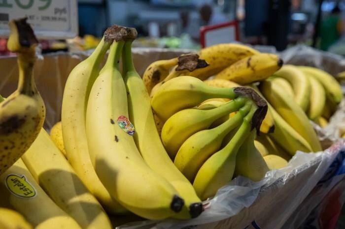 �������� ��������� ����� �����: ��������� ����� ��� ������� ������������