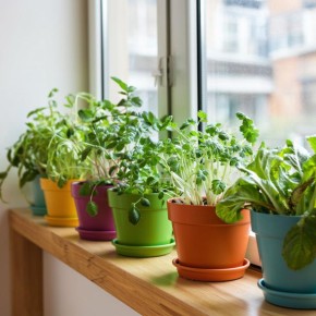 ����-������ � ��������: ������ ������ ��� ������� � �������!