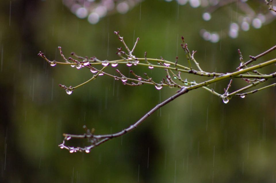 ������� � ������������� ������� ������� �����