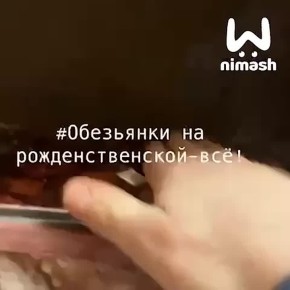 Человек, у которого нет души и вкуса, сломал популярных у нижегородцев и туристов обезьянок на Рождественской