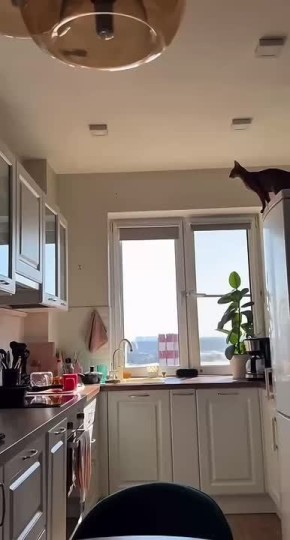 ������ ����, ����������!. �������� � ����� ������