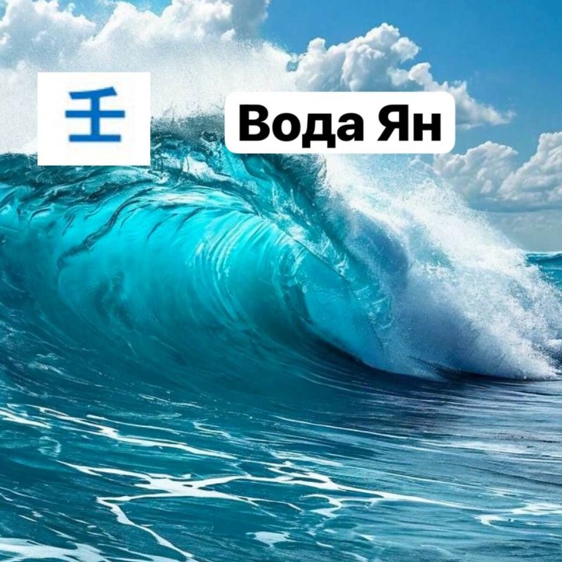 ���� ���� ��: ��� ���������������� ����� ��������� ��� ���