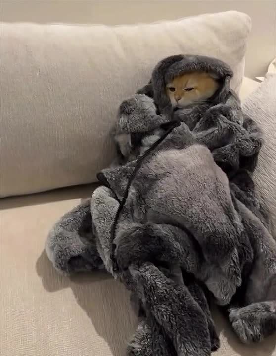 ����� ������ ������� �� ��������, ��� �������� ���� ���������� � ������ ����