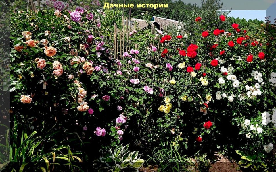 ���� �� ������ � ���: ������� ���� � ������������� ��������