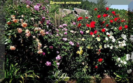 ���� �� ������ � ���: ������� ���� � ������������� ��������