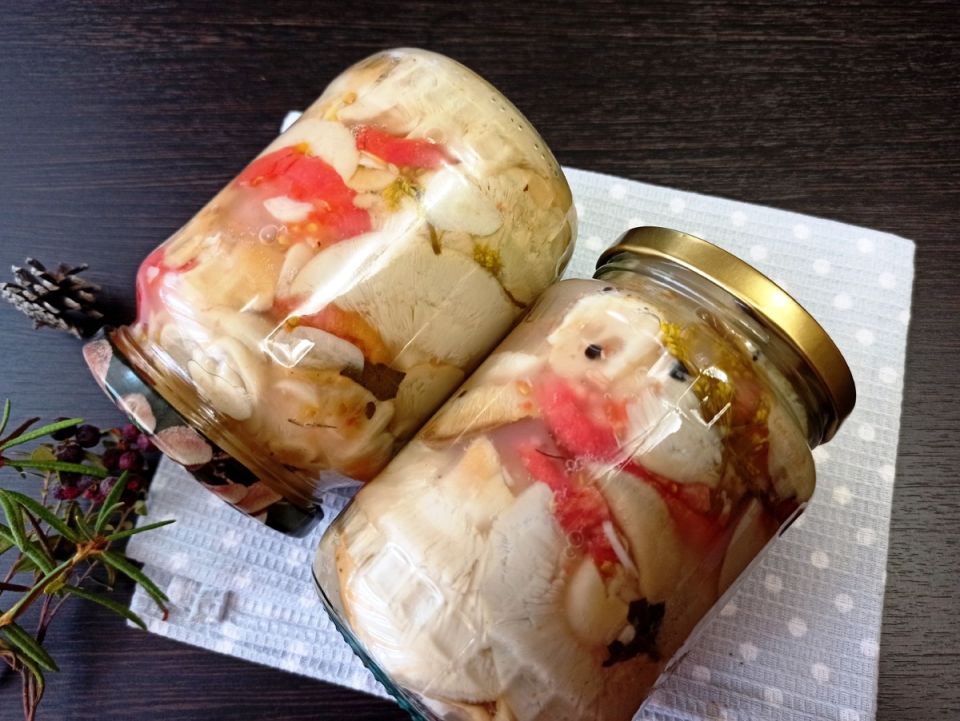 ������ � ����������: ������������ ������ ������� �� ����