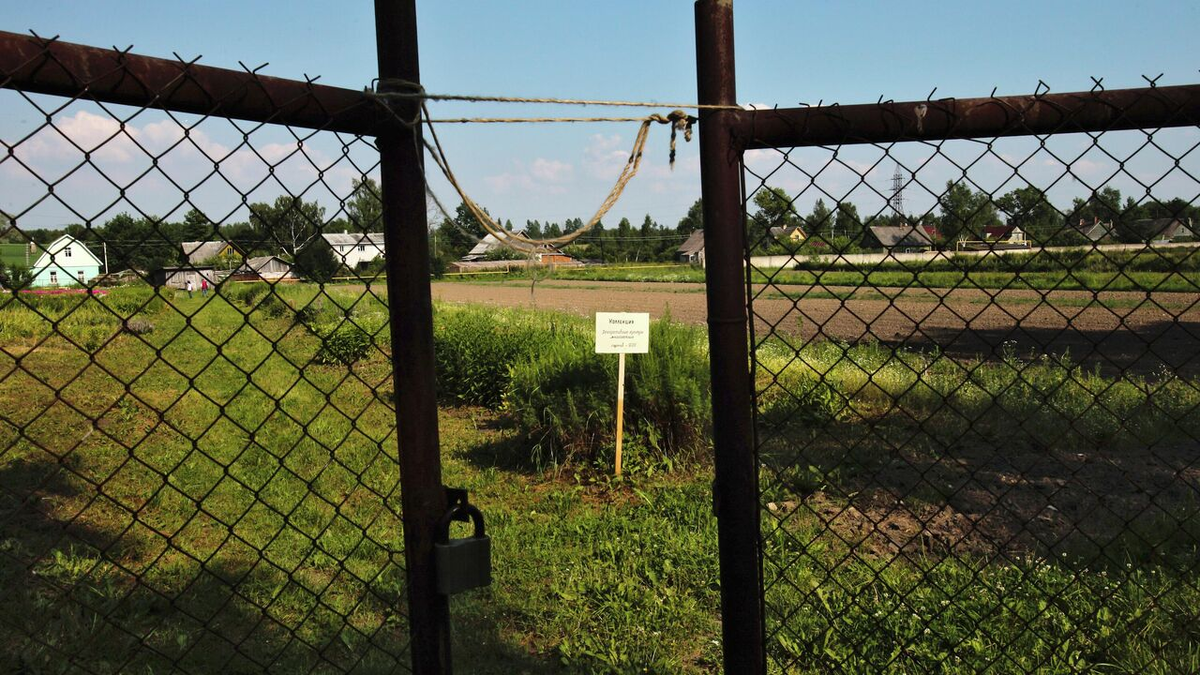 Собственникам земельных участков дано два года на приведение в порядок