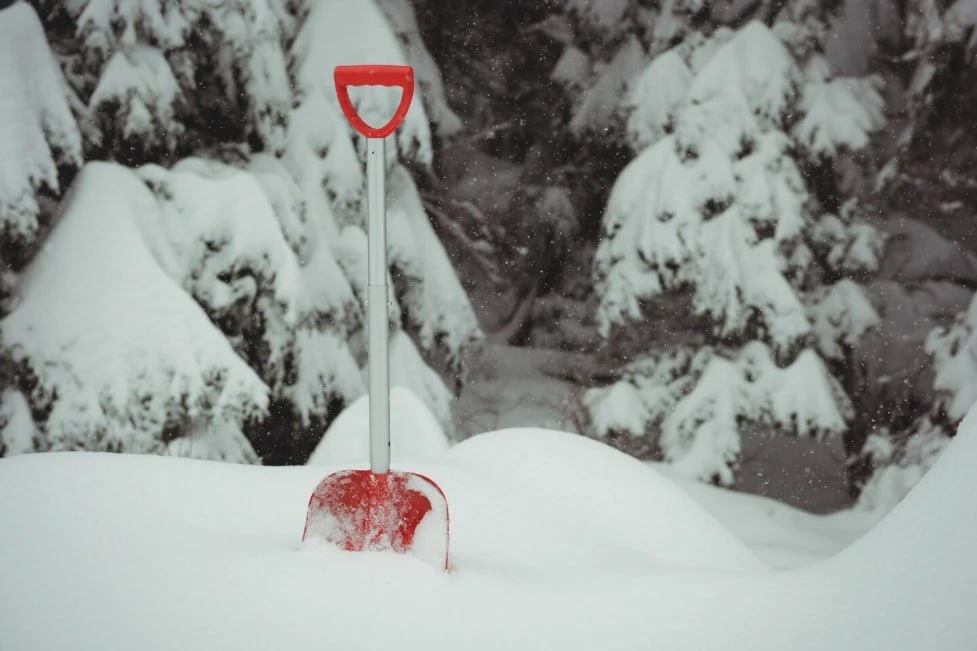 Снегопады ожидаются в середине недели в Нижегородской области