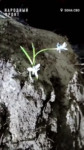 ����� �������� ����������. � ����� ��������� ���