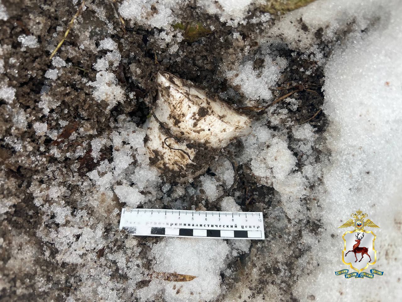 Более 150 свертков с «мефедроном» изъяли наркополицейские из автомобиля кстовчанина Более 150 свертков с «мефедроном» изъяли наркополицейские из автомобиля кстовчанина