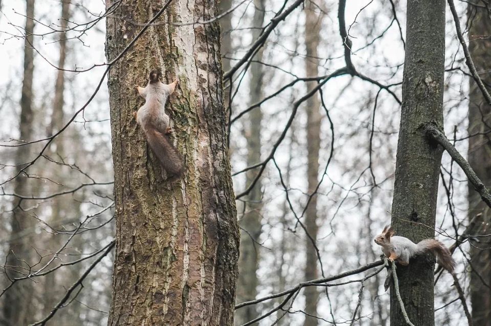 �� ��� �������� ��-�� ��������� ������