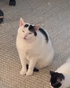 �������, � ��������� ������