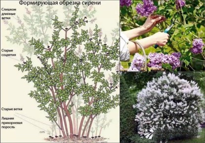 ������� ������ ������: ������ � �������� ������������ ��� ���������� ��������