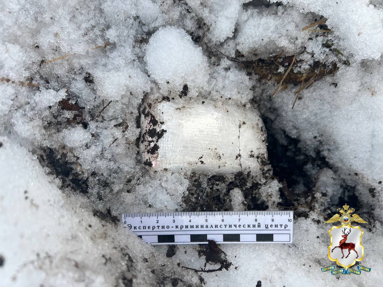 Более 150 свертков с «мефедроном» изъяли наркополицейские из автомобиля кстовчанина Более 150 свертков с «мефедроном» изъяли наркополицейские из автомобиля кстовчанина