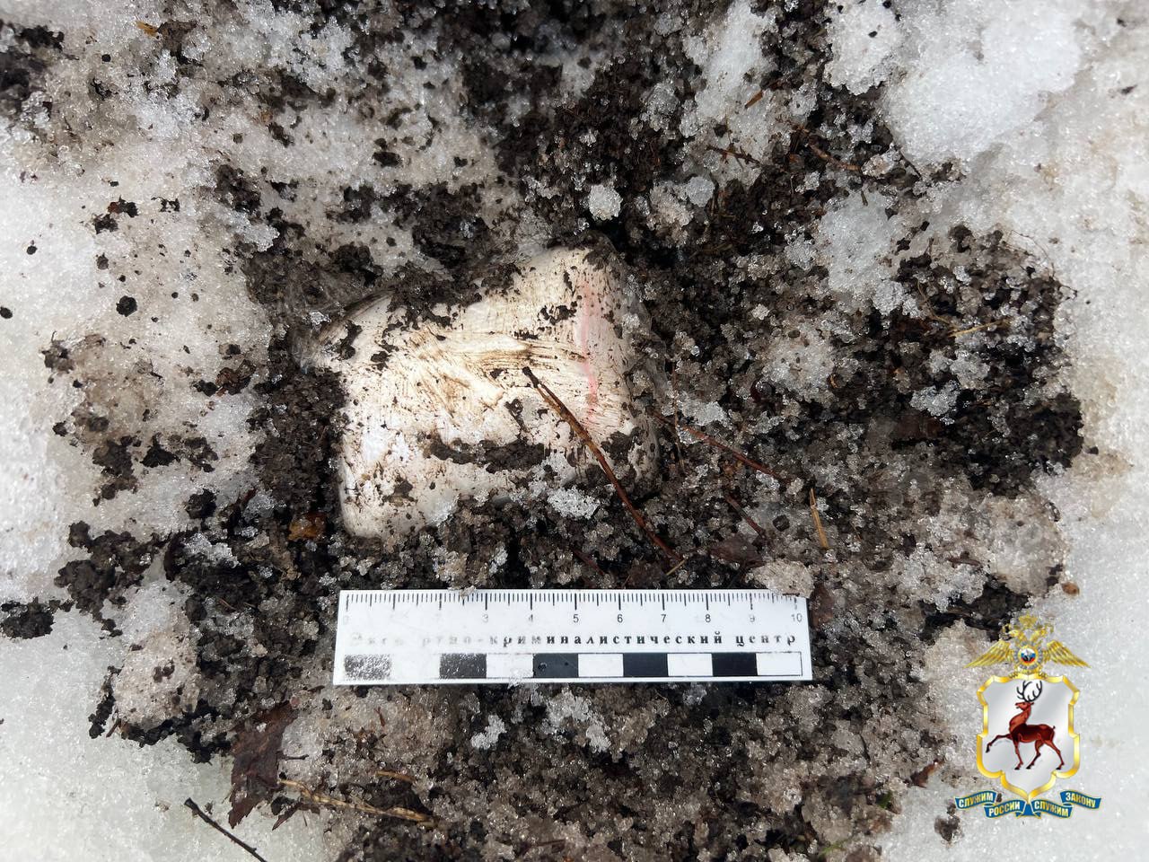 Более 150 свертков с «мефедроном» изъяли наркополицейские из автомобиля кстовчанина Более 150 свертков с «мефедроном» изъяли наркополицейские из автомобиля кстовчанина