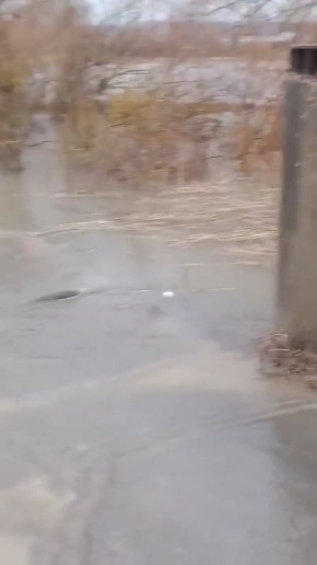 ������� ���� � ���� Ҹ�� � �������� ��������� ������� 2012 � 2024 �����