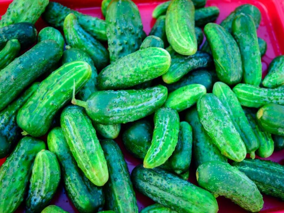 ������� ����������� �������: ������� ������, ������� ������ ������ ��������