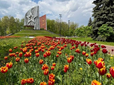 Юрий Шалабаев: Готовимся к высадке цветов в районах