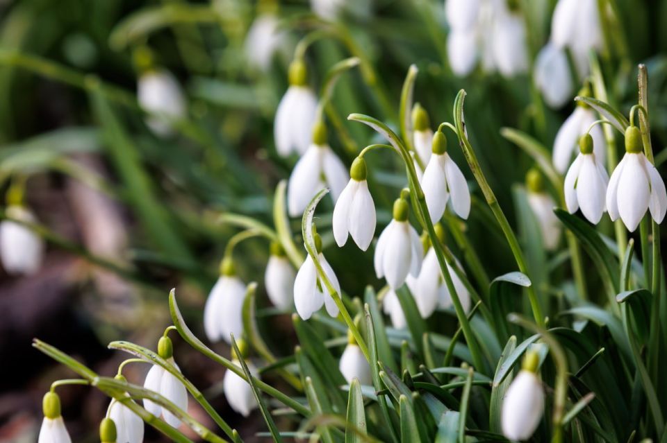 ������ ������ ��������� ��������� � ������ ���������