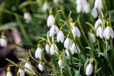 ������ ������ ��������� ��������� � ������ ���������