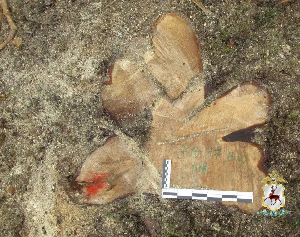 � ������������ ������ �������� �������� ��������� ������� ��� �� ����� 16 ��������� ������