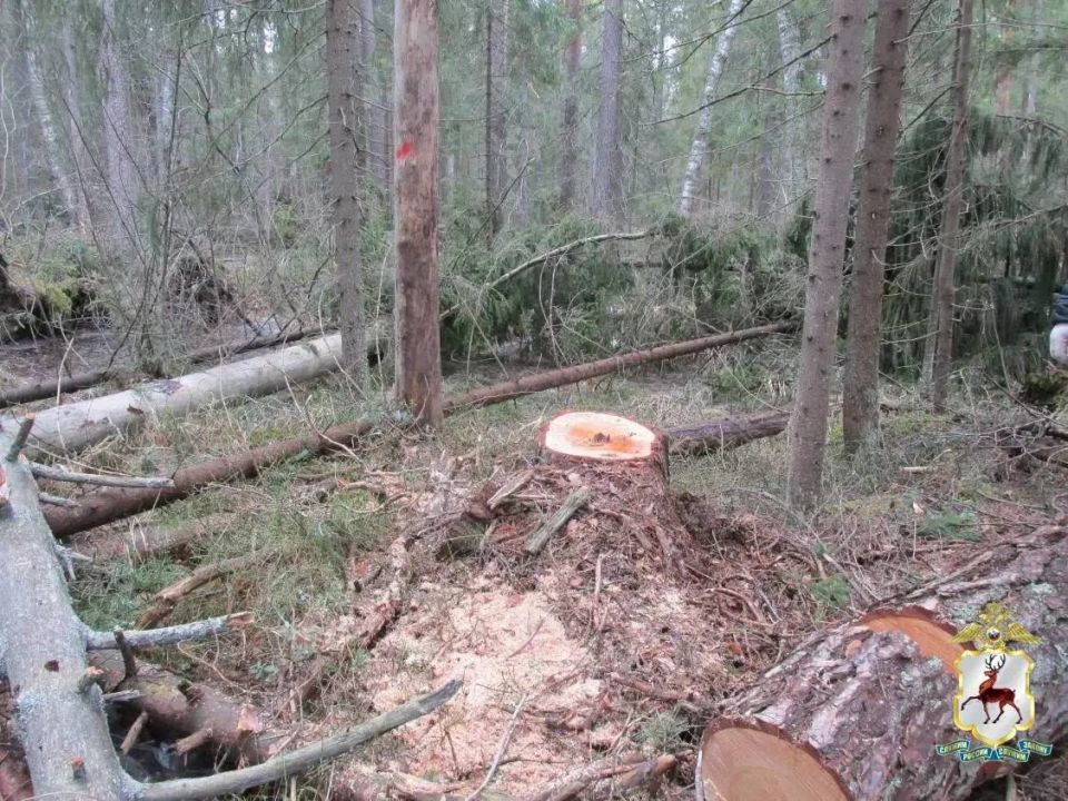 � ������������ ������ �������� �������� ��������� ������� ��� �� ����� 16 ��������� ������