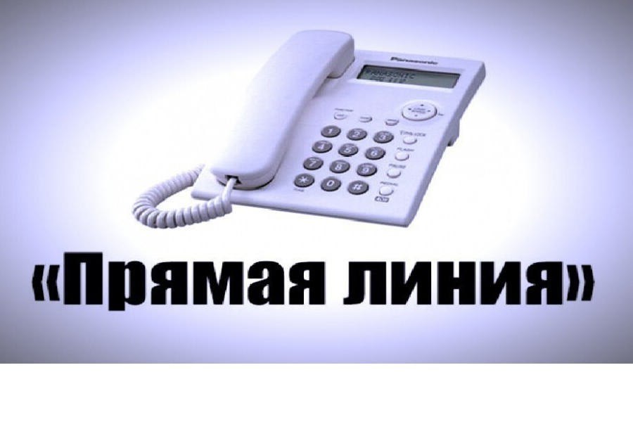 Руководитель Отдела МВД России «Починковский» по телефону ответит на вопросы граждан о деятельности полиции округа
