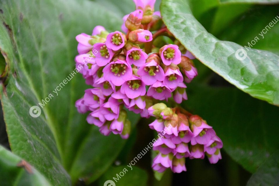 �����: ������� ����� � ������� ���������� �������