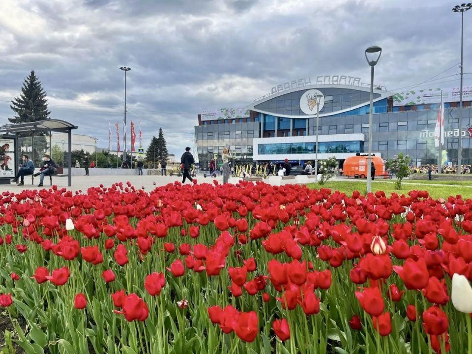 �������� � ������ ��������� ������ �������� � �������-������� ������