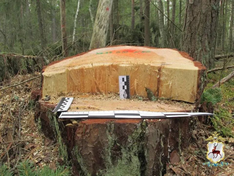 � ������������ ������ �������� �������� ��������� ������� ��� �� ����� 16 ��������� ������