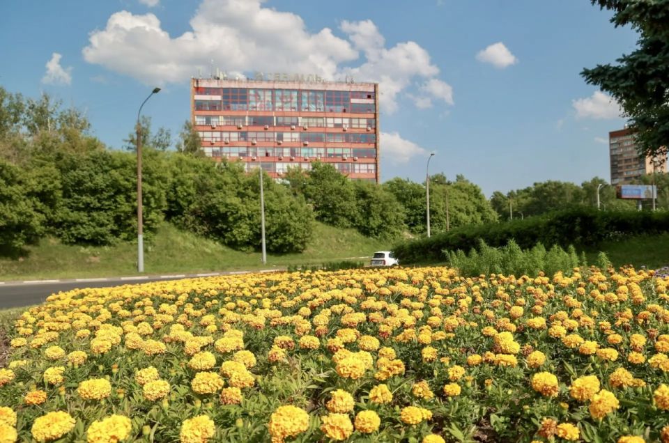 �������� � ������ ��������� ������ �������� � �������-������� ������