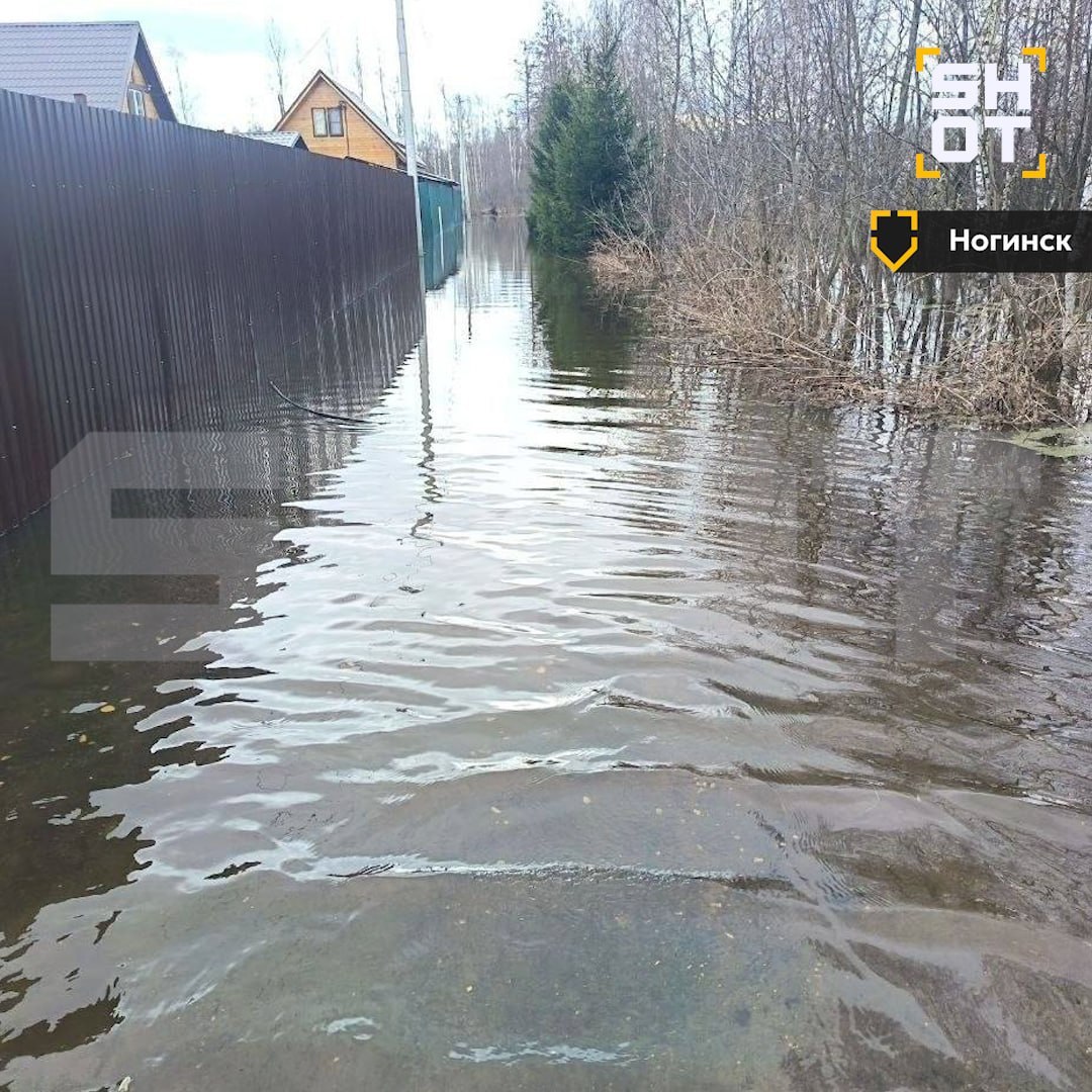 Жителей Центральной России начали эвакуировать из домов из-за сильного паводка: потоки воды размывают дороги и подтапливают дома Жителей Центральной России начали эвакуировать из домов из-за сильного паводка: потоки воды размывают дороги и подтапливают дома