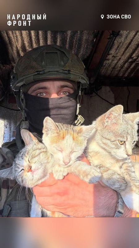 ������� ����� ����-��������