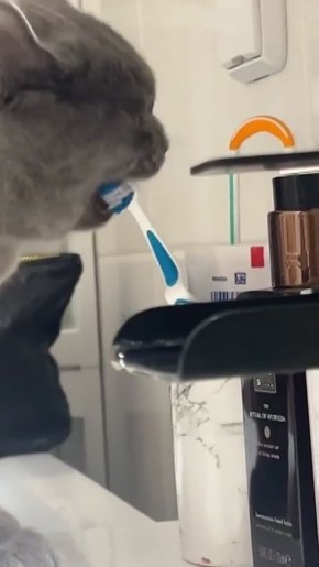 ������ ����, ����������!. ������ ���� � ������������ �� ������� ������ ��� � �������