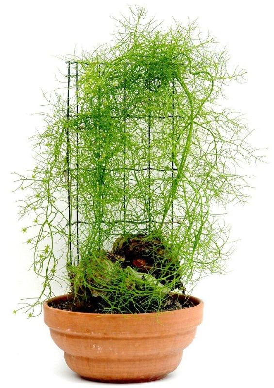 ������: ������������ ��������� ��� ������ ���������