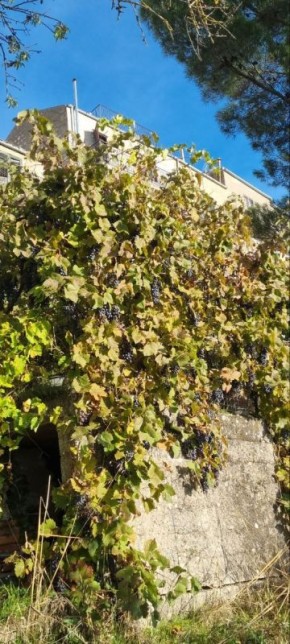 ��� ��� ����� ������� ����� �����: ��������� ���������� ���� � ���������