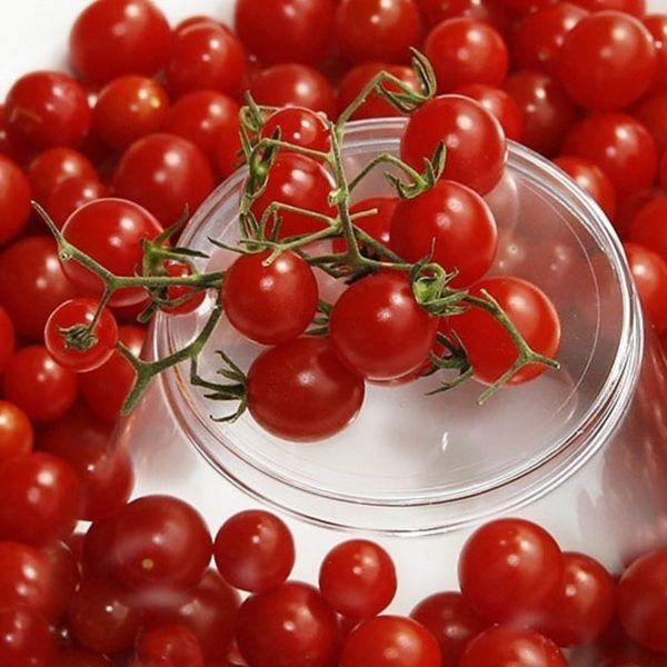 ����� ���������� �������: ��� ��������� ������������ ������������ ������ �� ������