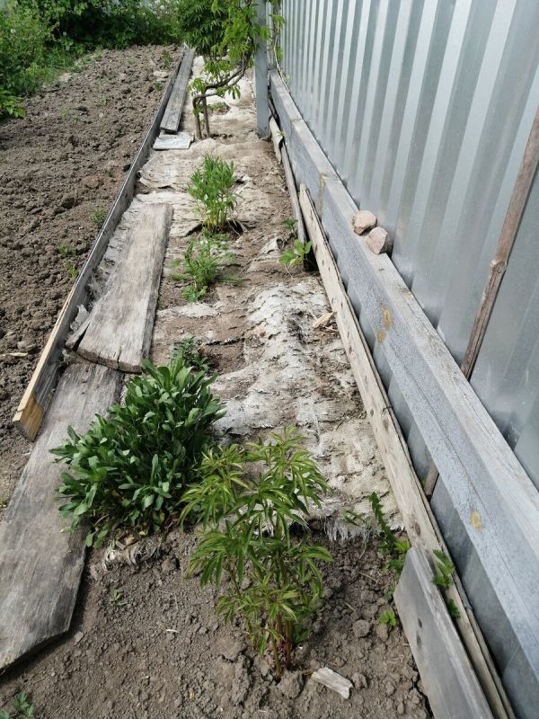 �������� �������: ��� �������� ��� ��� � ������ ������� � ����������