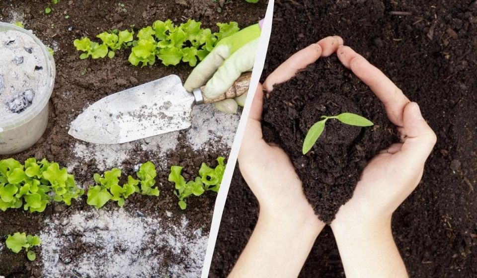 ������� ����� ����������, �������������� � ��������: ��� ������� ���������