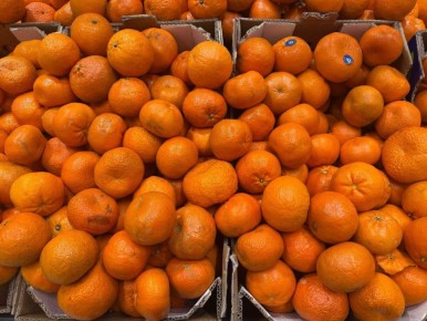 ��� ������� ������� ��������� ��� ��������: ������ ���������