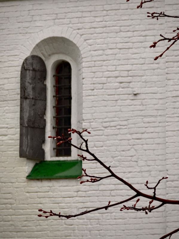 ������ ����� � ����� ������