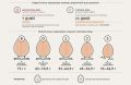 Расшифровка маркировки яиц: что стоит знать о свежести и безопасности