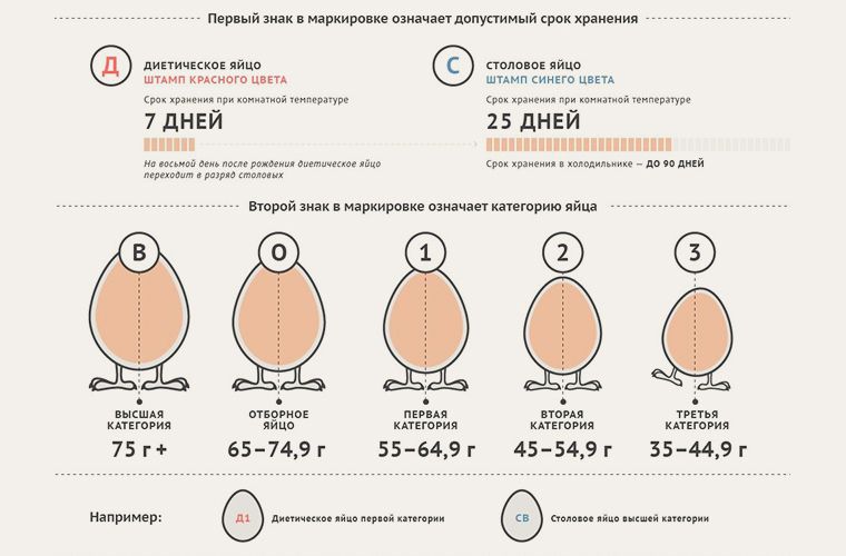 ����������� ���������� ���: ��� ����� ����� � �������� � ������������