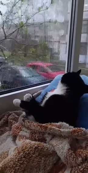 � ����� �� ����� ������. ������ ����! �� �������� ������� ������