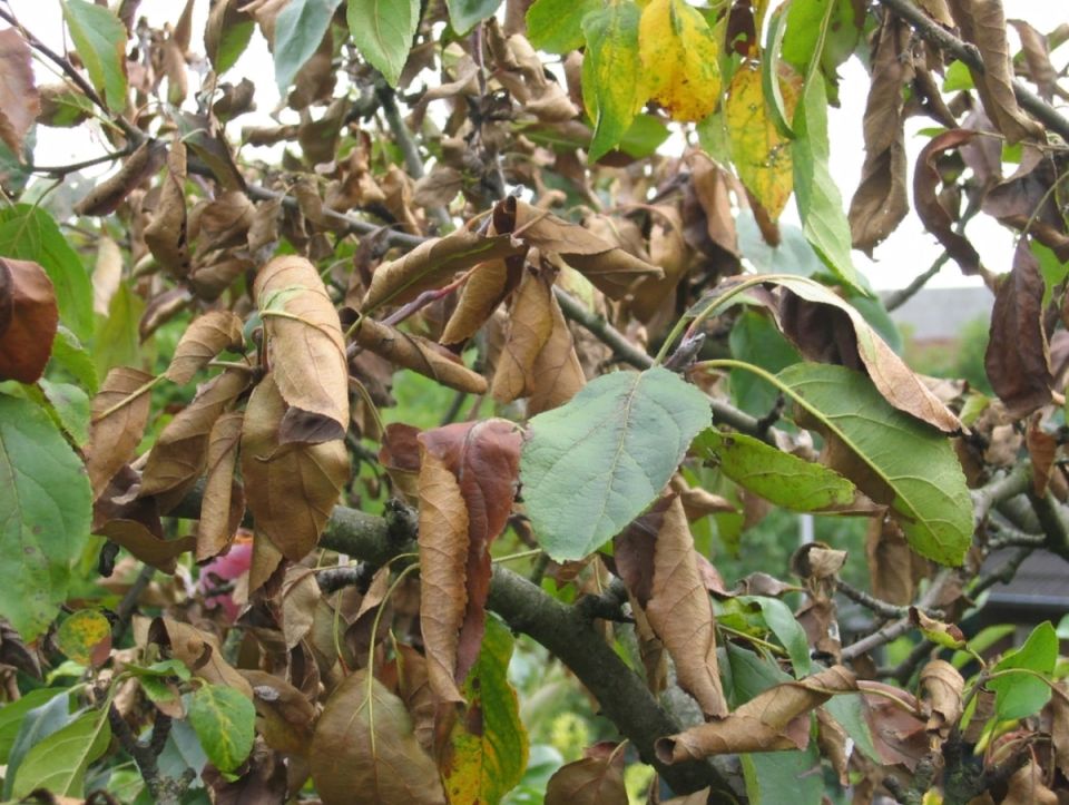 �������� ������ ����������: ��� �������� ������ �� �������� ��� �����